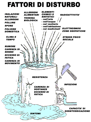 Schema informativo dei fattori di disturbo in omotossicologia
